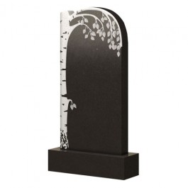 Памятник Э19